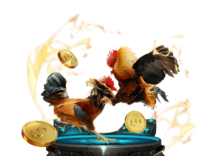 Mẹo chơi đá gà hiệu quả